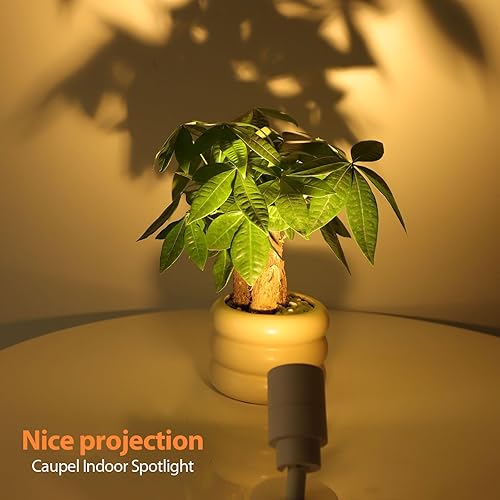 Miniatura 9 de Caupel Foco LED de 5 W, paquete de 2 unidades, iluminación ascendente para plantas, iluminación de acento para fotos, obras de arte, foco de suelo