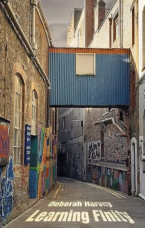 Learning Finity: Deborah Harvey: 9781912876624: Amazon.com: Books