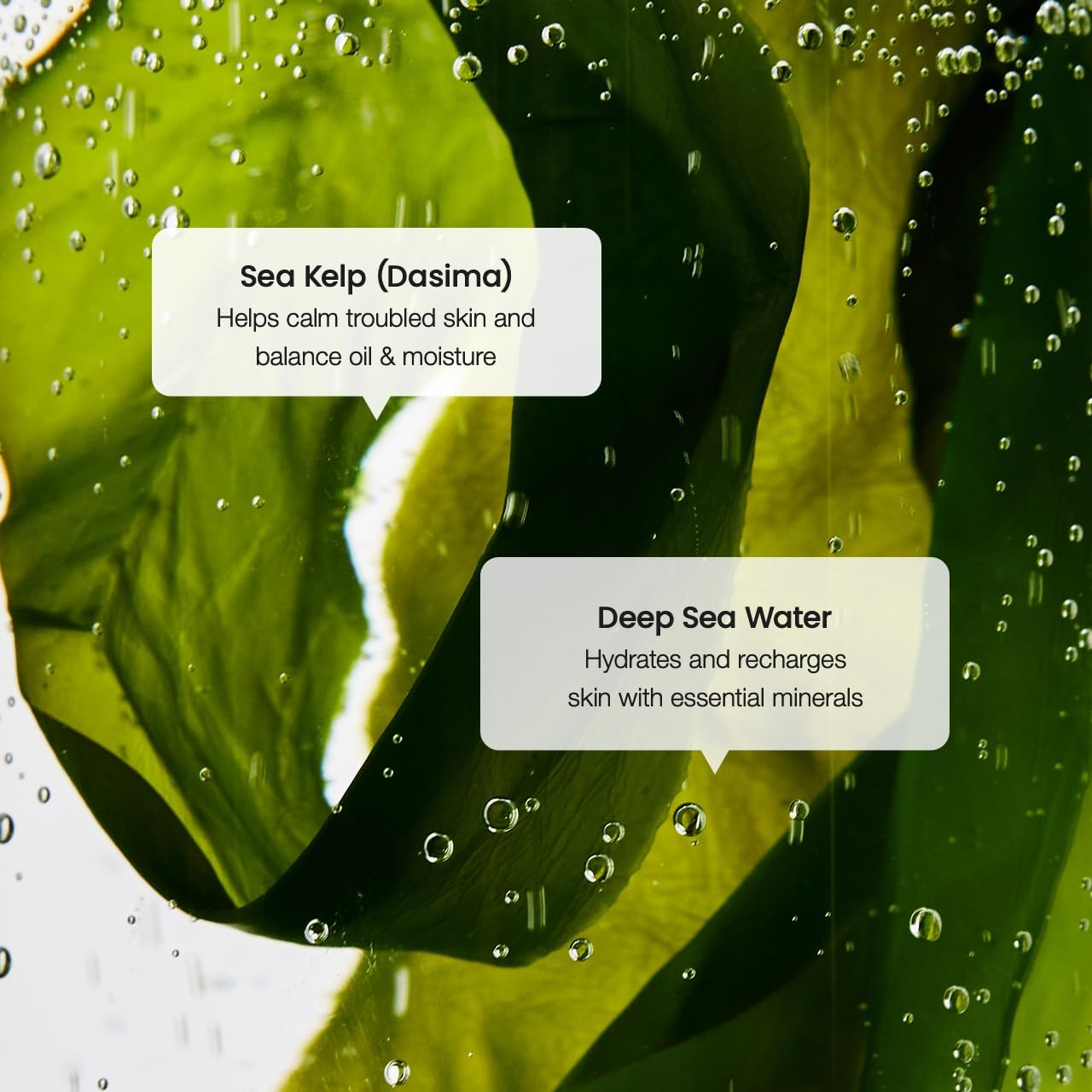 BIODANCE Refreshing Sea Kelp Serum, Oil & Sebum Control, Calming Serum for Oily & Combination Skin, Korean Skin Care, Valentines Day Gifts for Her | 1.01 fl.oz x 1 ea - Image 6