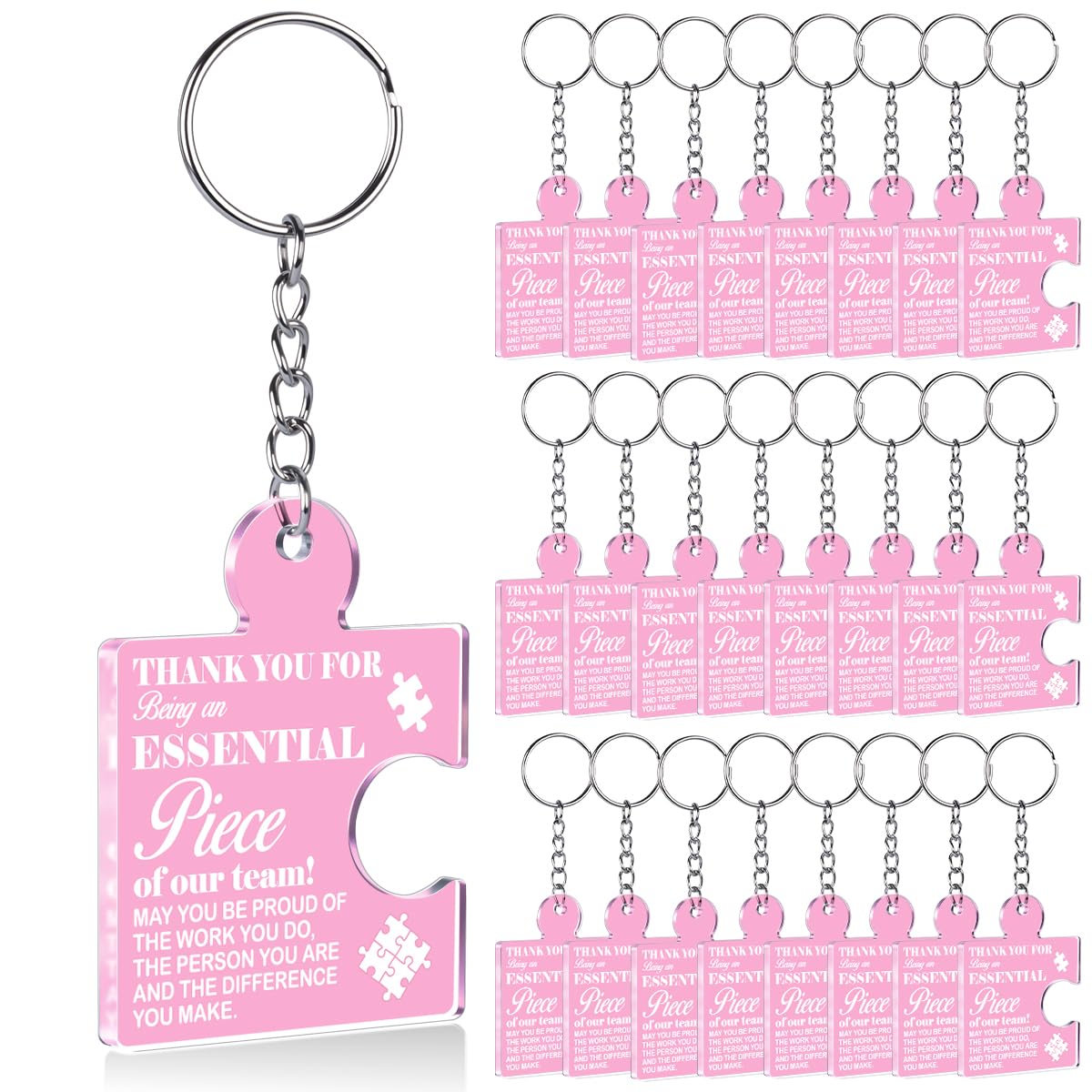 Team Appreciation Gifts Bulk Thank You Keychains for Coworkers