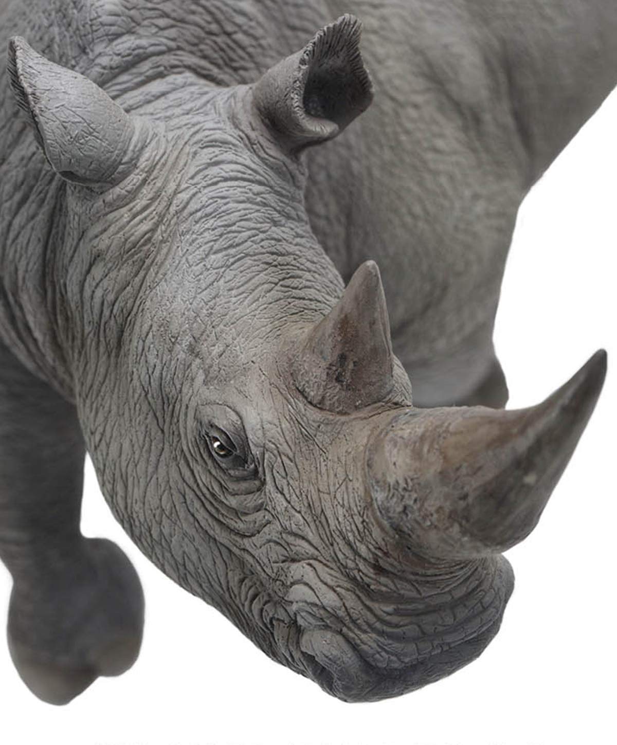 Amazon | PNSO 動物園シーリーズ アフリカ象 Mamman カバ Dunkey