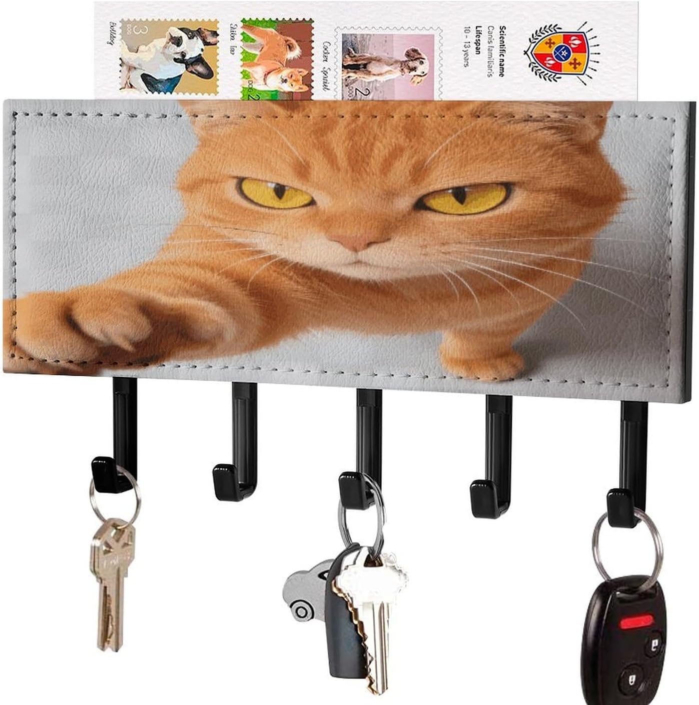 Key Holder Wall Mount Key Hanger with 5 Hooks, Decorative Key Rack | Cartoon Cat Orange Hanging Key Hooks with Mail Organizer for Wall Living Room Kitchen Bathroom Hallway