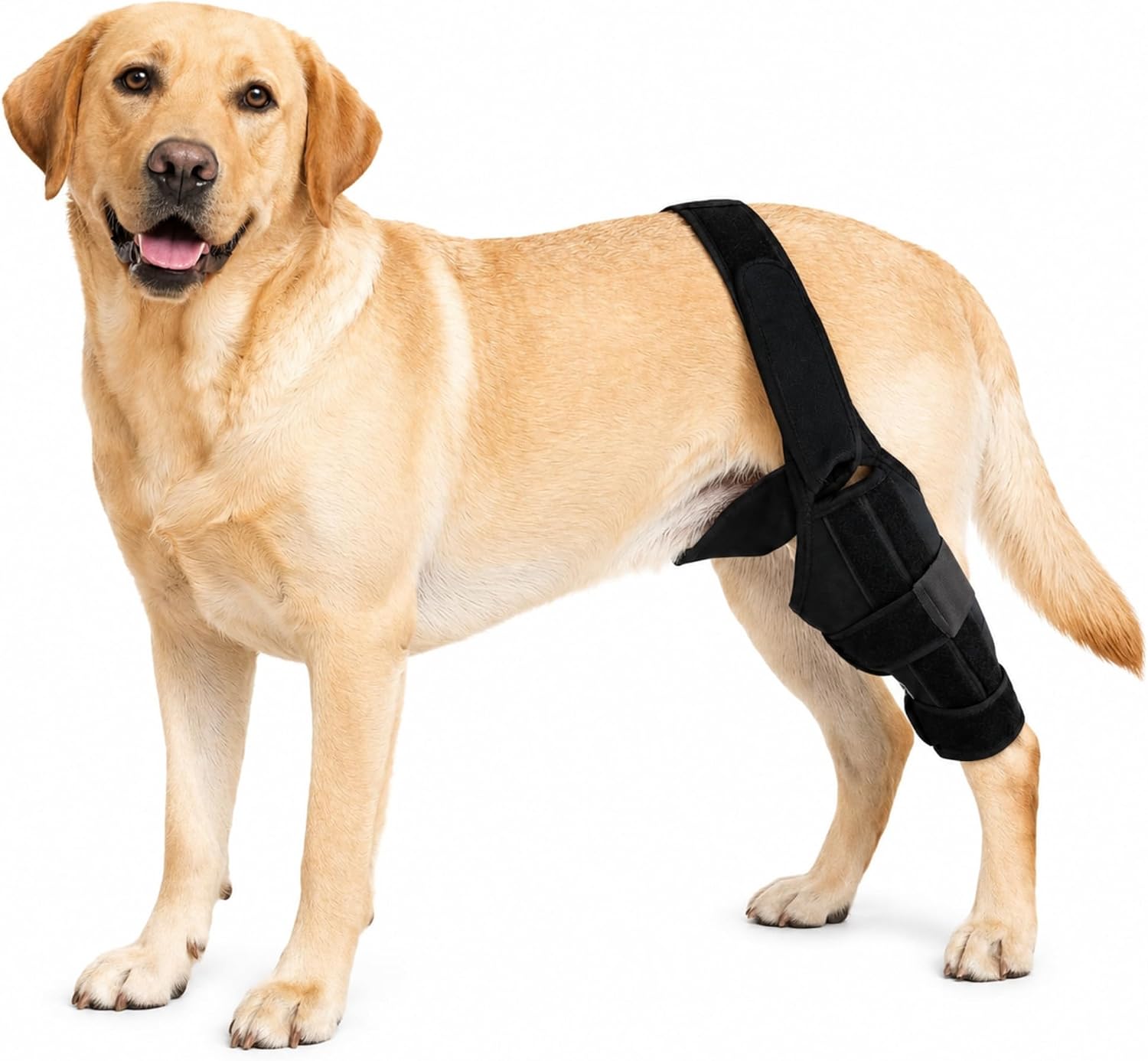 Dog Knee Brace for Torn ACL, CCL Injury, Hind Leg & Luxating Patella – Adjustable Dog Leg Brace for Arthritis, Stability & Joint Pain – Helps Recovery & Improves Mobility – Neoprene Material (M)