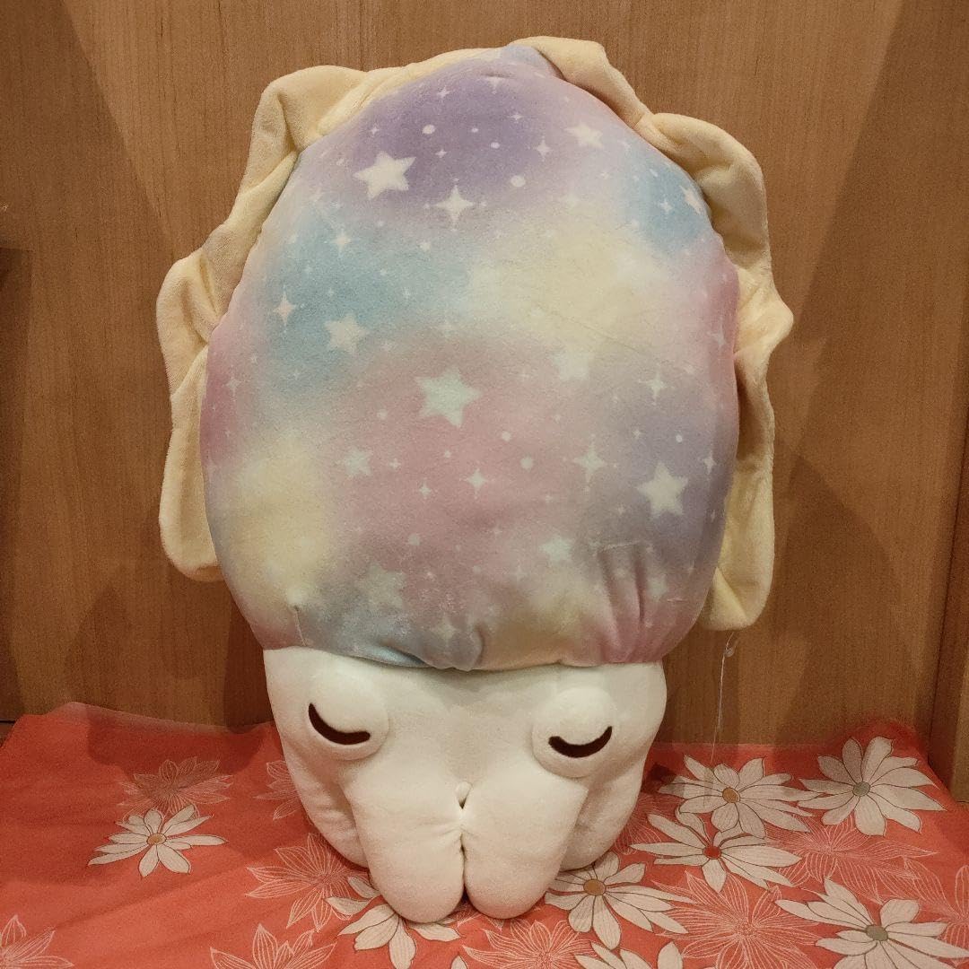 Amazon.co.jp: もちふわ コウイカのきらちゃん きらちゃん