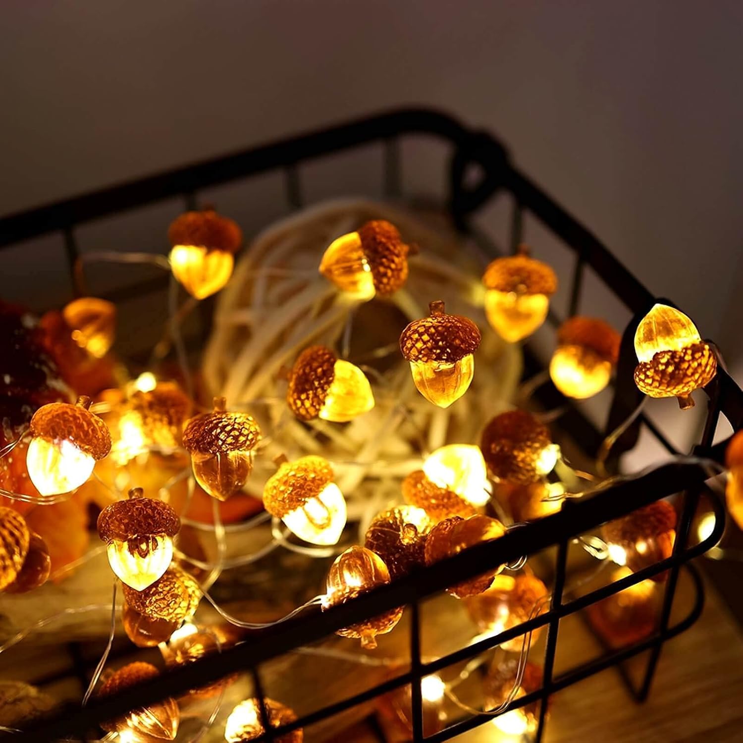 Thanksgiving Decorations Fall Lights Acorn String Lights Forest Décor Fairy Decorative Lights 30 LEDs 10ft USB Powered with Remote for Bedroom Farmhouse Home Holiday Thanksgiving Decoration