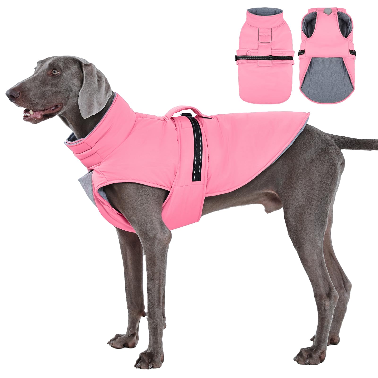 Manteau réfléchissant pour grand chien veste d'hiver polaire réglable IECOii