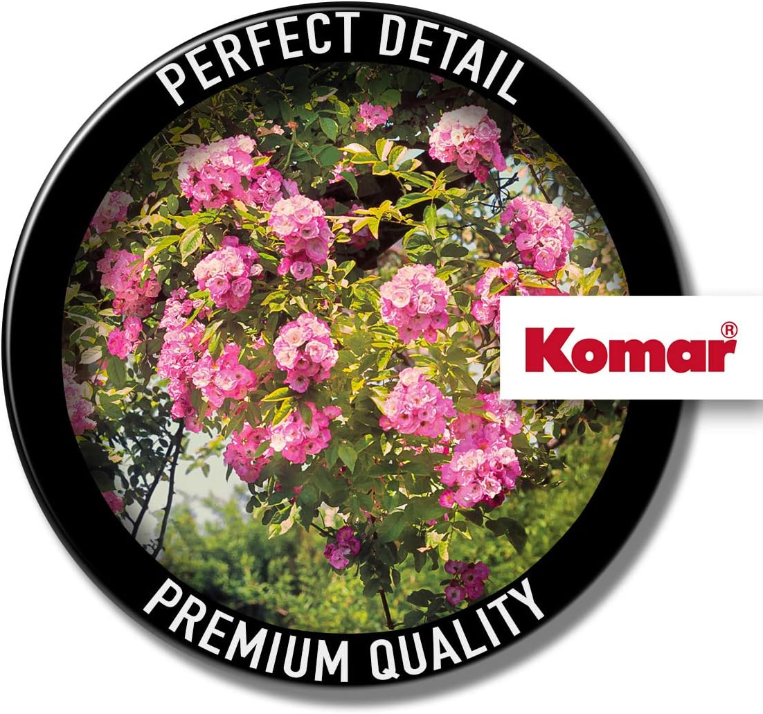 Komar 8-936 Rose Garden Wall Mural
