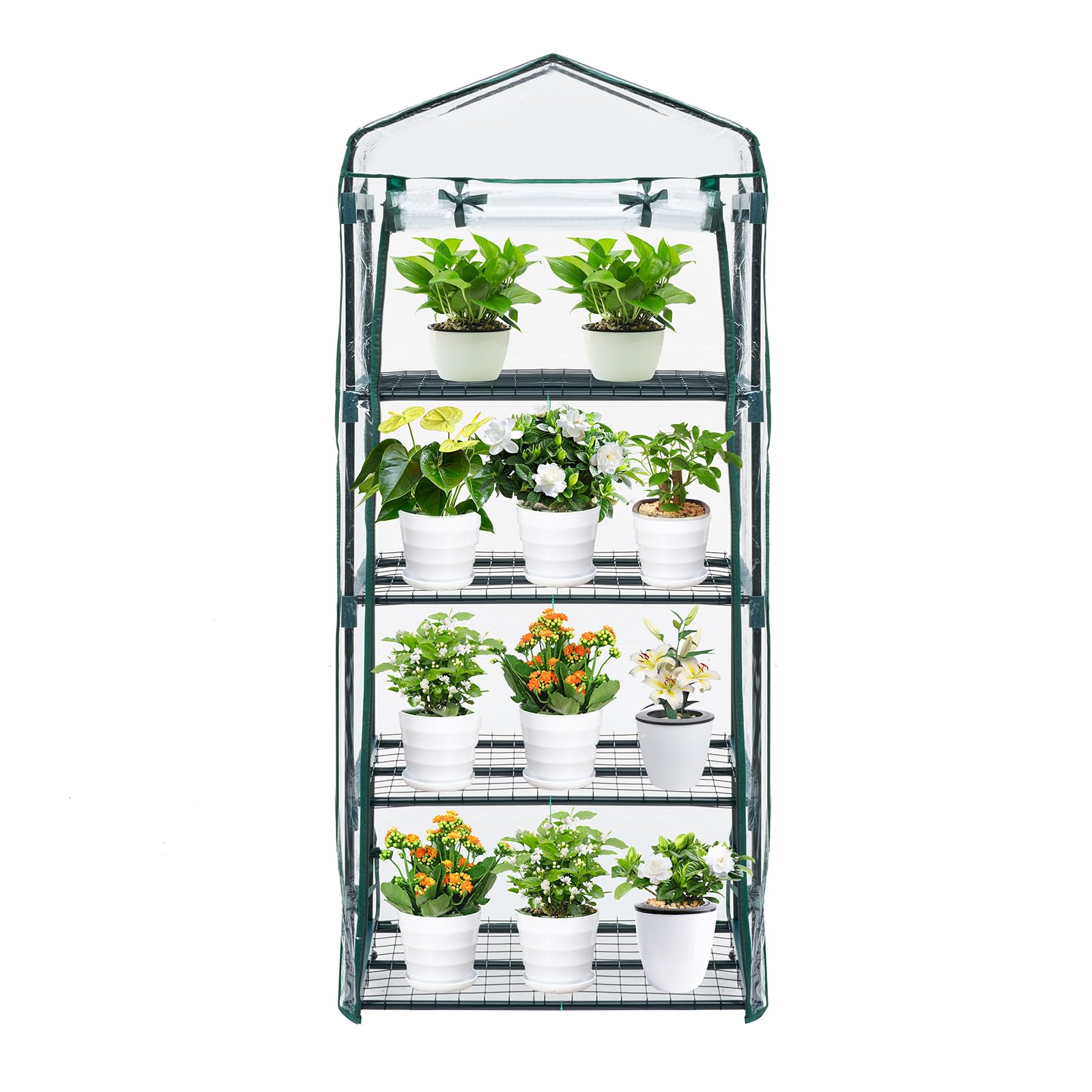 Invernadero para plantas