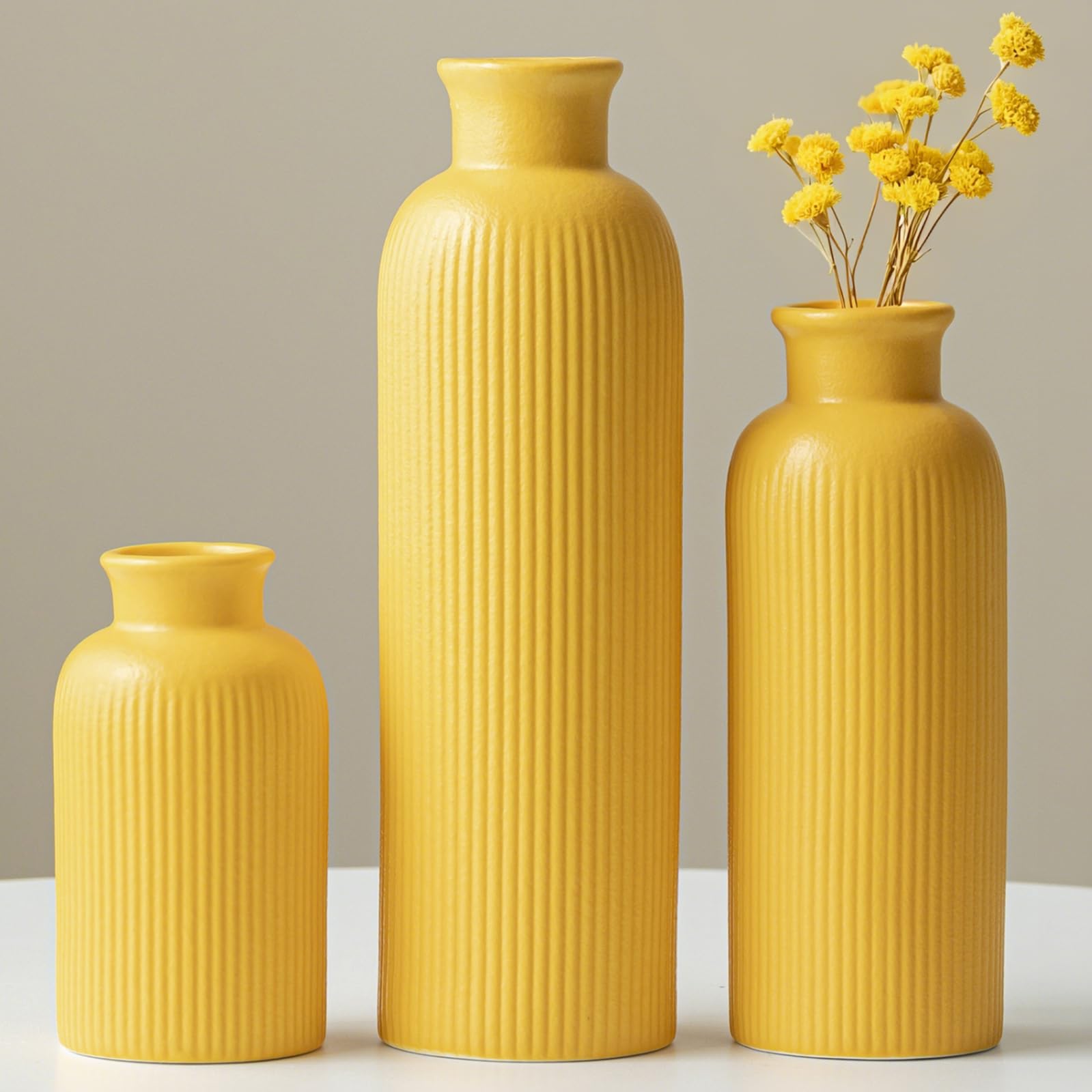 vaurcesa Modern Ceramic Vase Set - vases | Mubboo