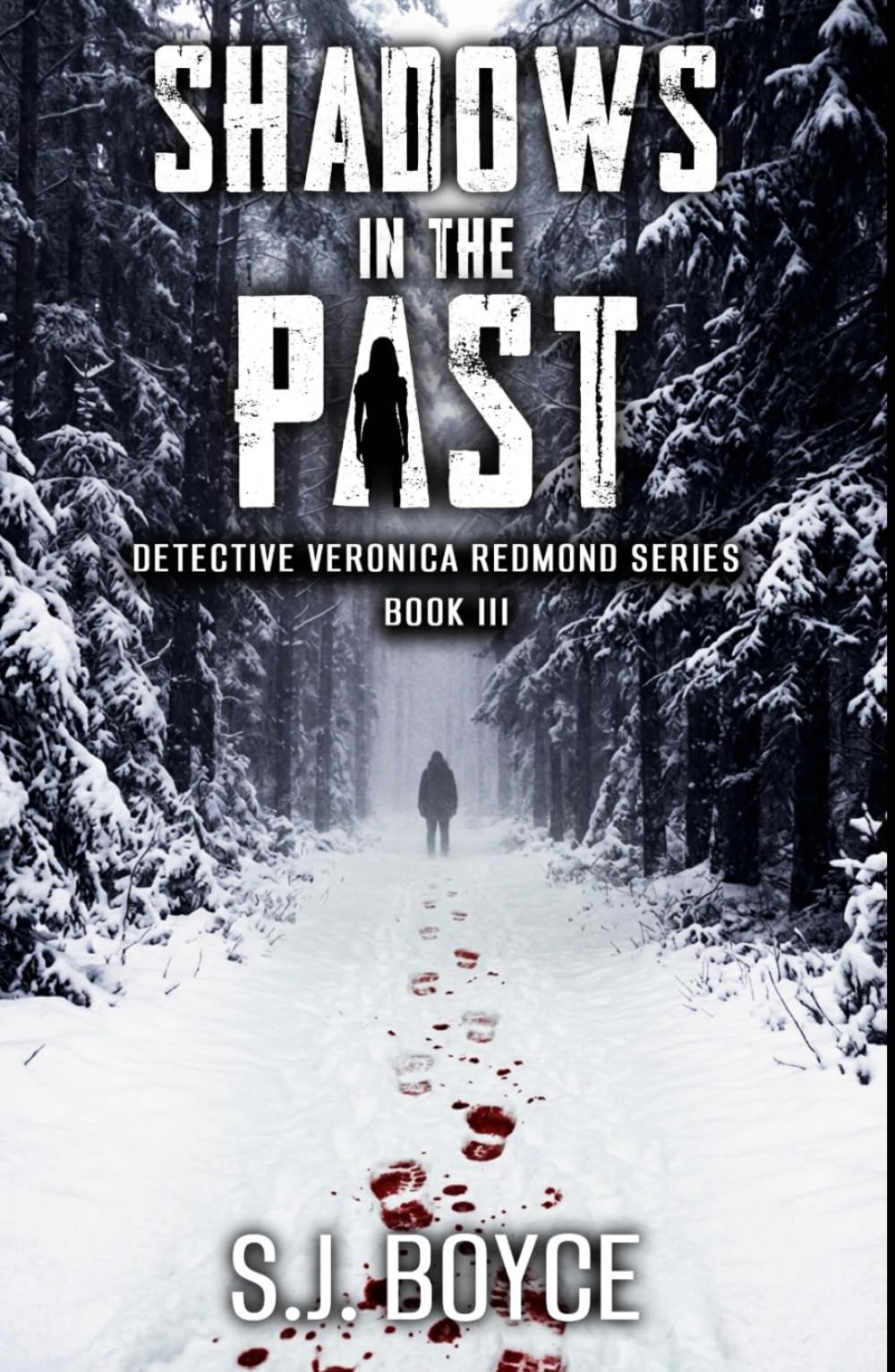 Shadows In The Past: Detective Veronica Redmond Series - Book III