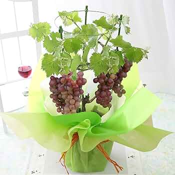 71aU-LnheDL._AC_UF350,