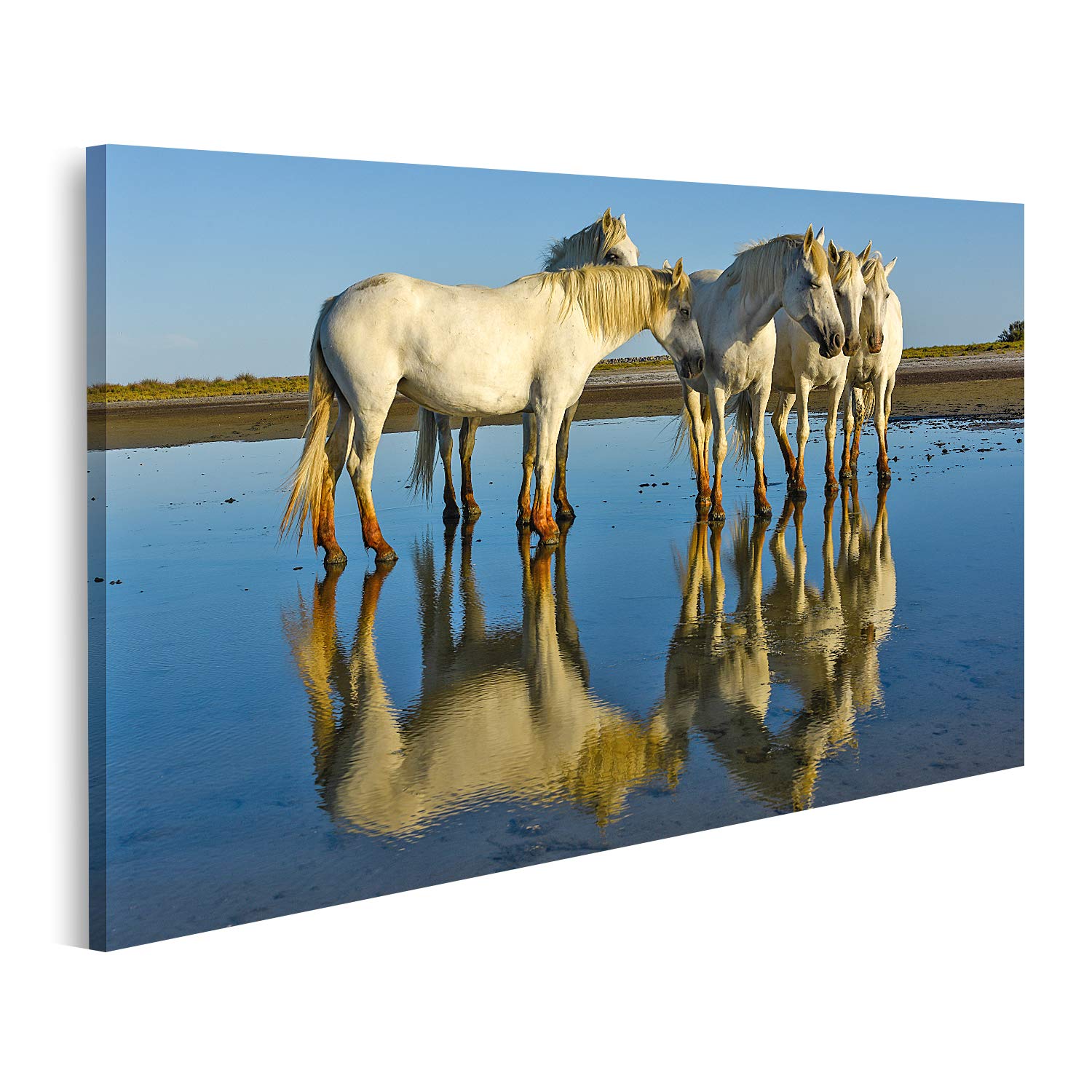 Tableau sur toile chevaux Camargue reflets blancs nets