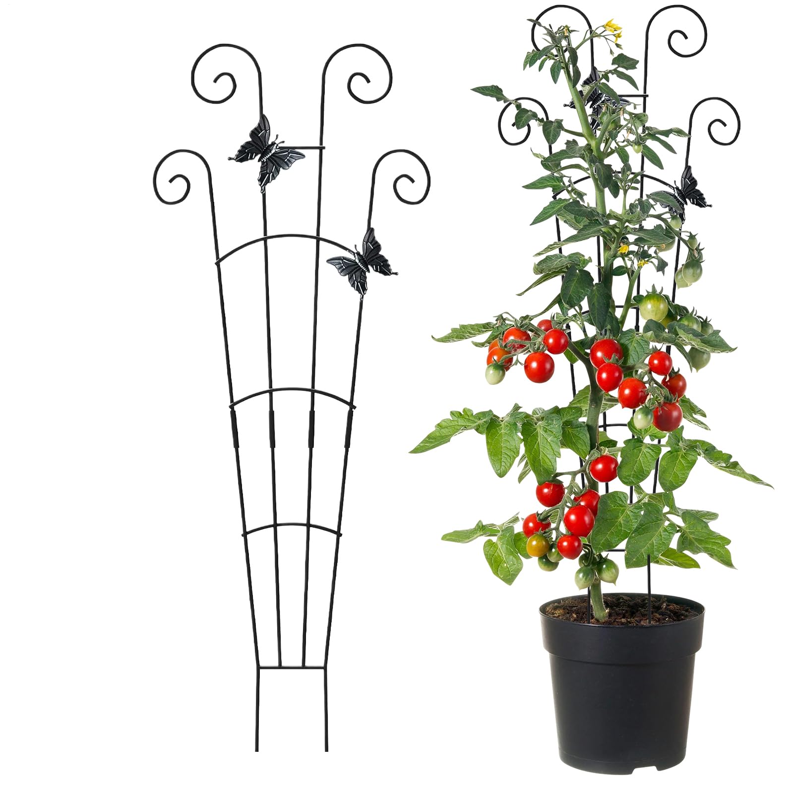 Treillis pour en pot en métal robuste pour guider la vigne et les légumes de balcon