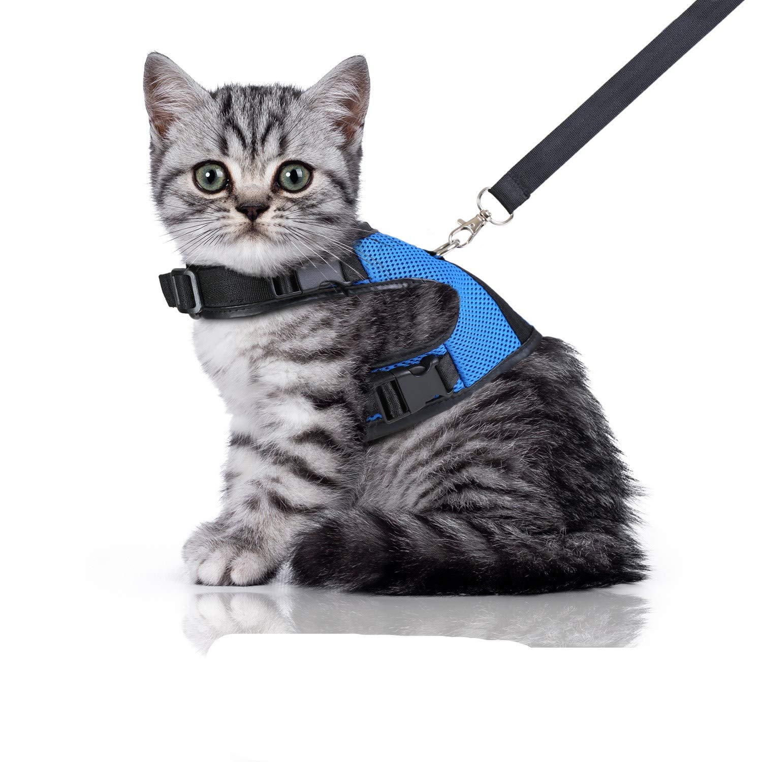 Bella & Balu Arnés Gato | Incluye Correa 120 cm – Robusto arnés Gato con Forro Suave, a Prueba de Fugas, y Malla Transpirable – para Caminar sin dificultad por Las Calles.(S, Azul)