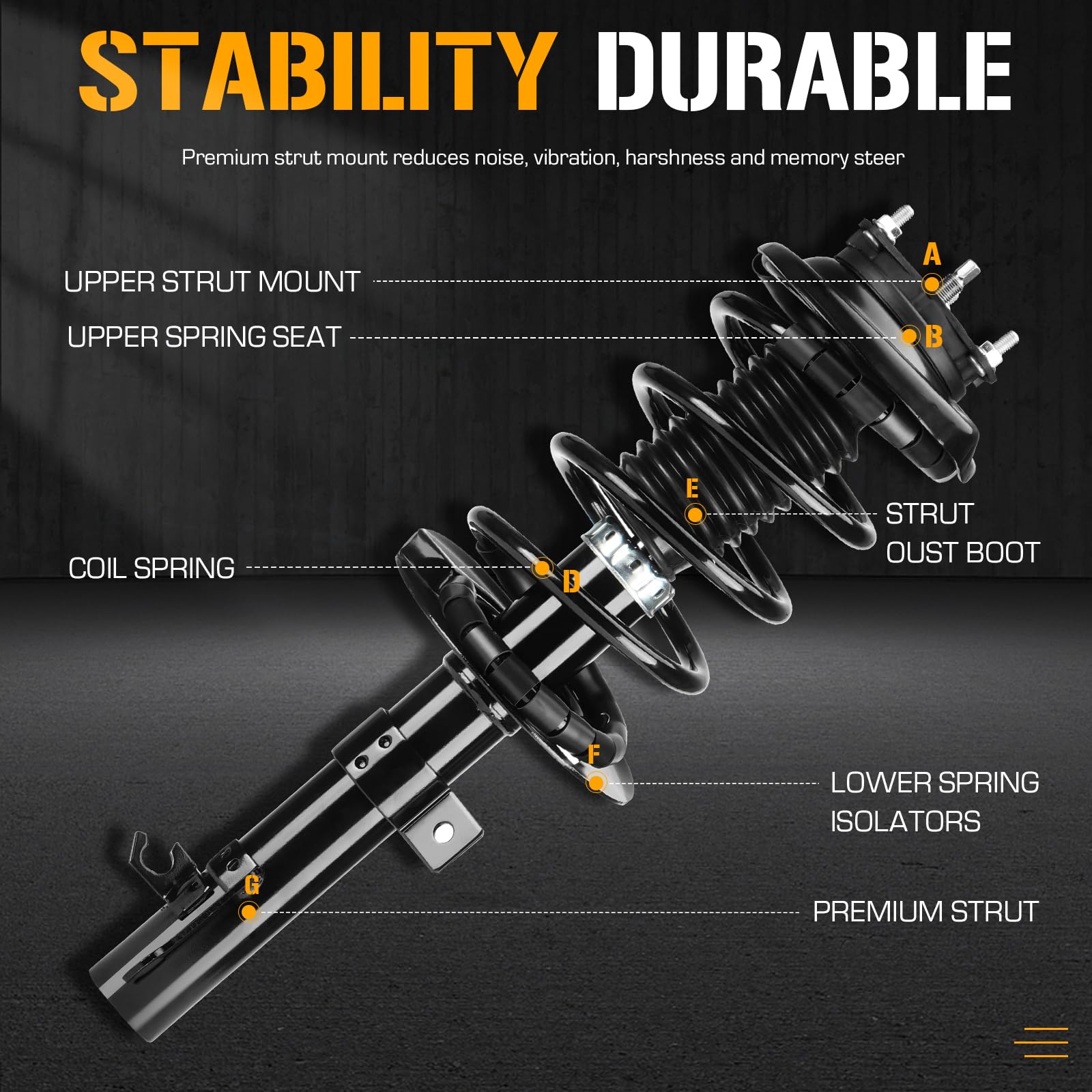 2008 Ford Focus Struts