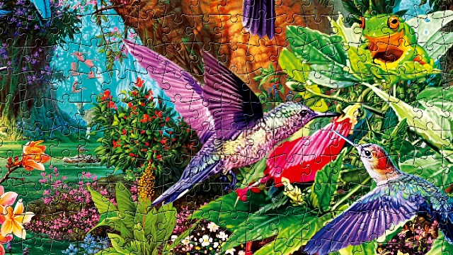 Amazon.com: Buffalo Games - Hummingbird Garden - Steve Read - 500