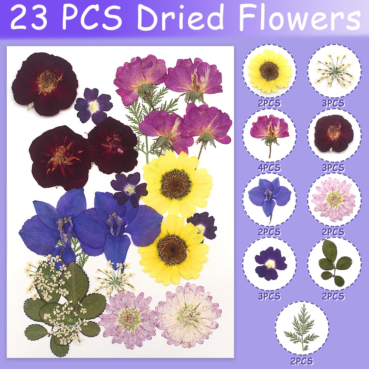 68 fiori e foglie essiccati veri secchi pressati, petali naturali secchi verdi con pinzette per candele, resina, gioielli, sapone, ciondoli per unghie, custodia per telefono, decorazioni