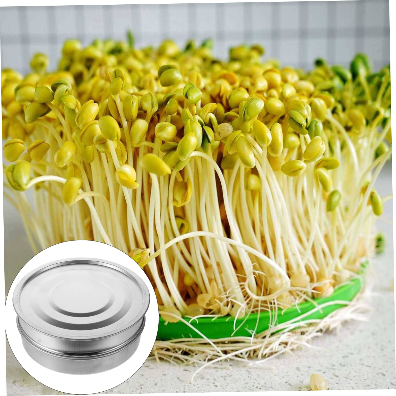 Garneck Kit De Bandeja De Germinación, Bandeja De Acero Inoxidable Malla, 3 Piezas para Germinar Semillas En Casa, Jardín o Oficina