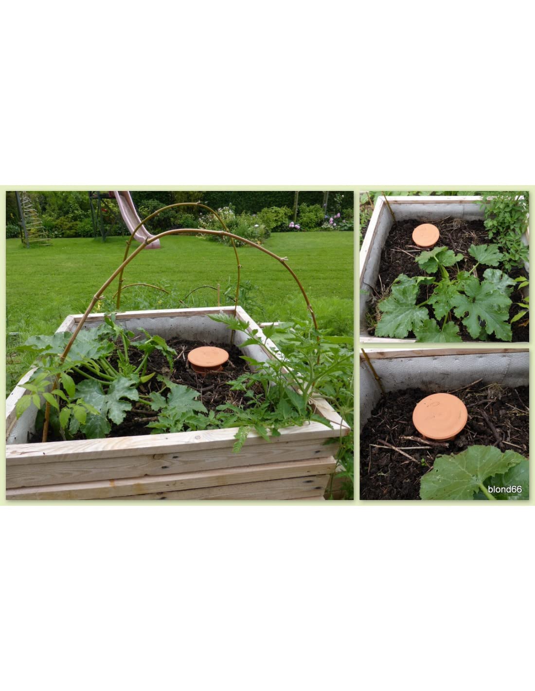 Ollas/Oyas Ceramica da interrare in Argilla 5 Litri | Diffusore/Serbatoio d'Acqua per l'irrigazione delle Piante | Irrigazione Automatica a Goccia