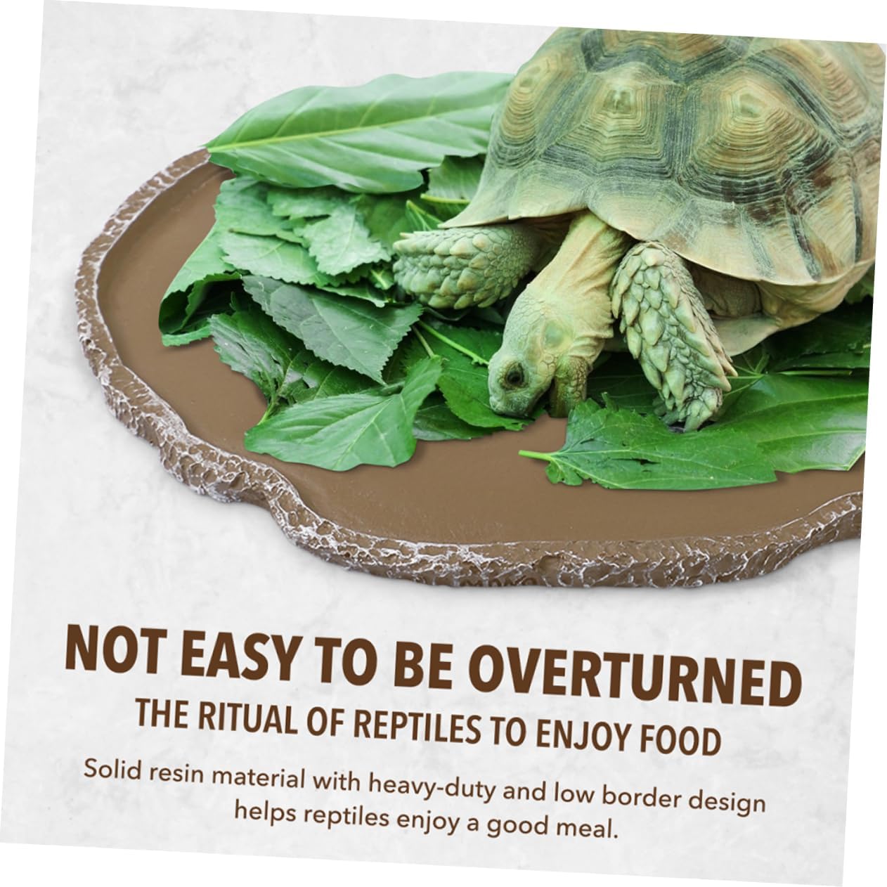 2pcs Resin Snake Chameleon Reptile Food Bowls Terrarium Accessories Bright Simple Design Pet Feeding Bowls