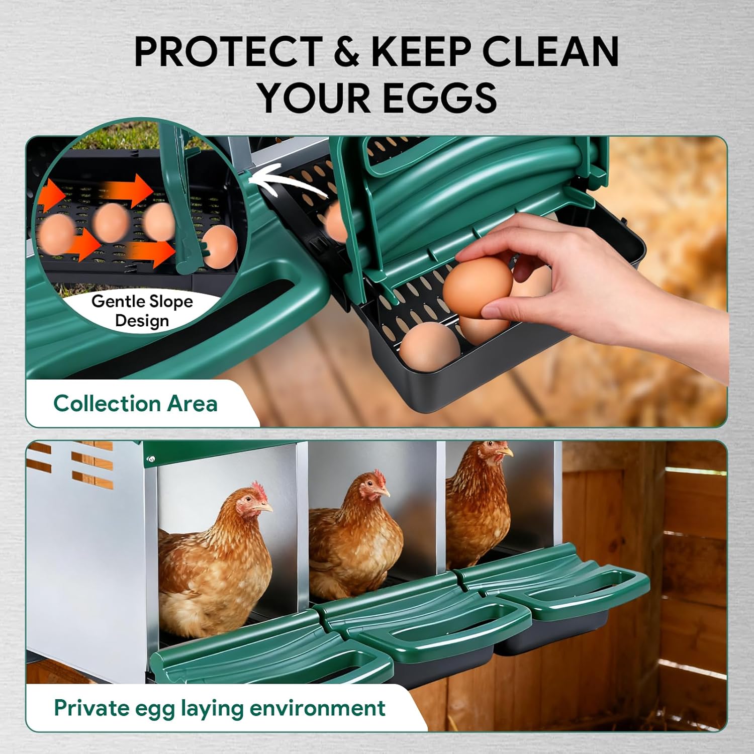 Chicken Nesting Boxes with 3 Cozy and Roll-Away Design - Chicken coop Nesting Boxes,Private Laying Spot & Enables Effortless Egg Collection (Green)