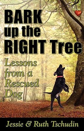Bark Up The Right Tree