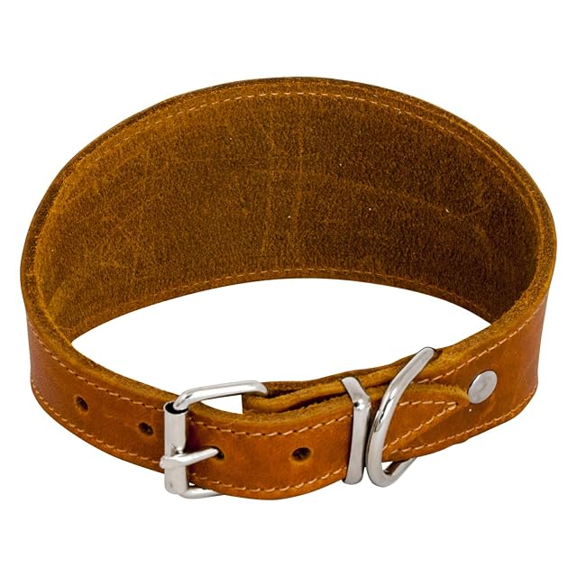 JACK AND VANILLA, Collar para Lebro para Perro, Modelo Piel Negrita, Color Coñac, Talla 37 cm