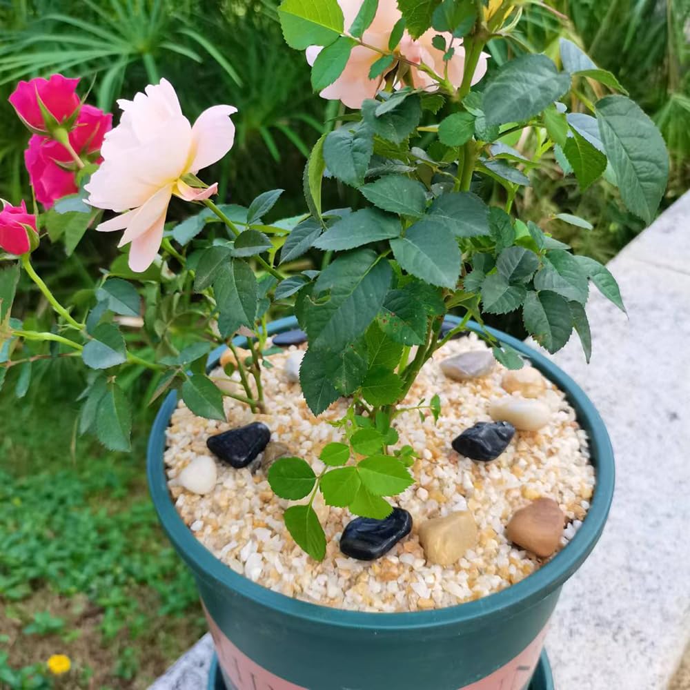 12lb Coarse Sand Stone, Silica Sand for Plant, Soil Cover Succulent and Cactus Bonsai Horticultural Sand, Natural Decorative Sand for Vases Fillers.