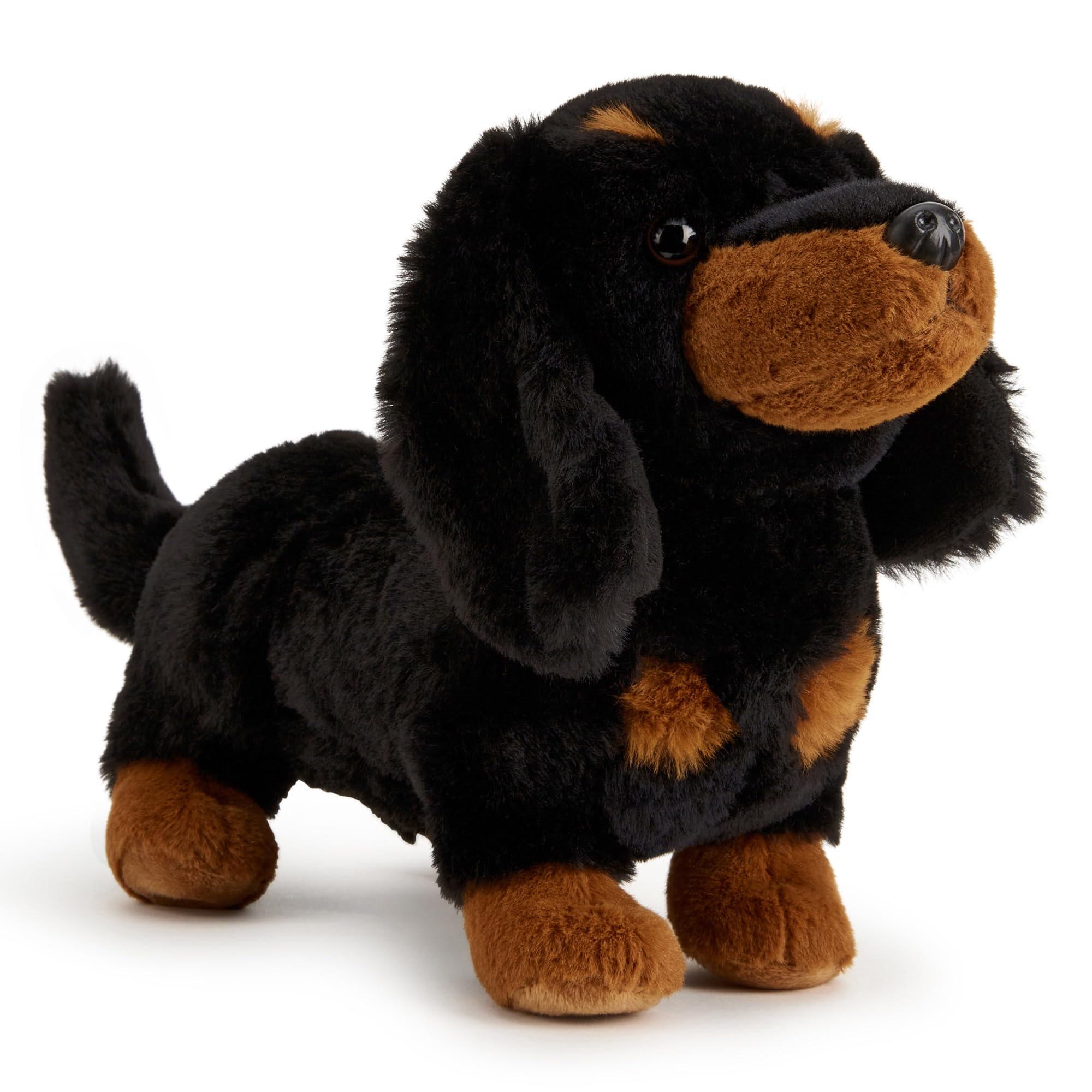 Zappi Co Daisy el Perro Salchicha de Peluche (20 cm) - Delicia de Perro Salchicha - Suave, Agradable, 100% Reciclado - Adorable Amigo Largo