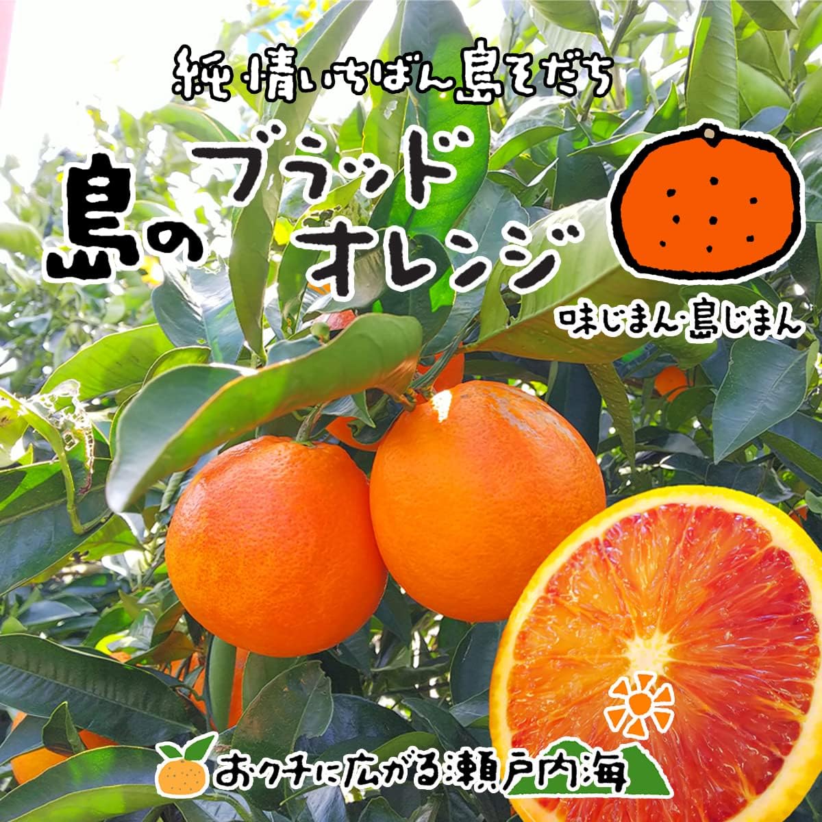 希望の島 ブラッドオレンジ(タロッコ) 