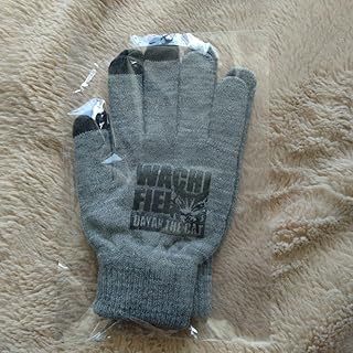 【未使用】 わちふぃーるど 軍手（非売品）
