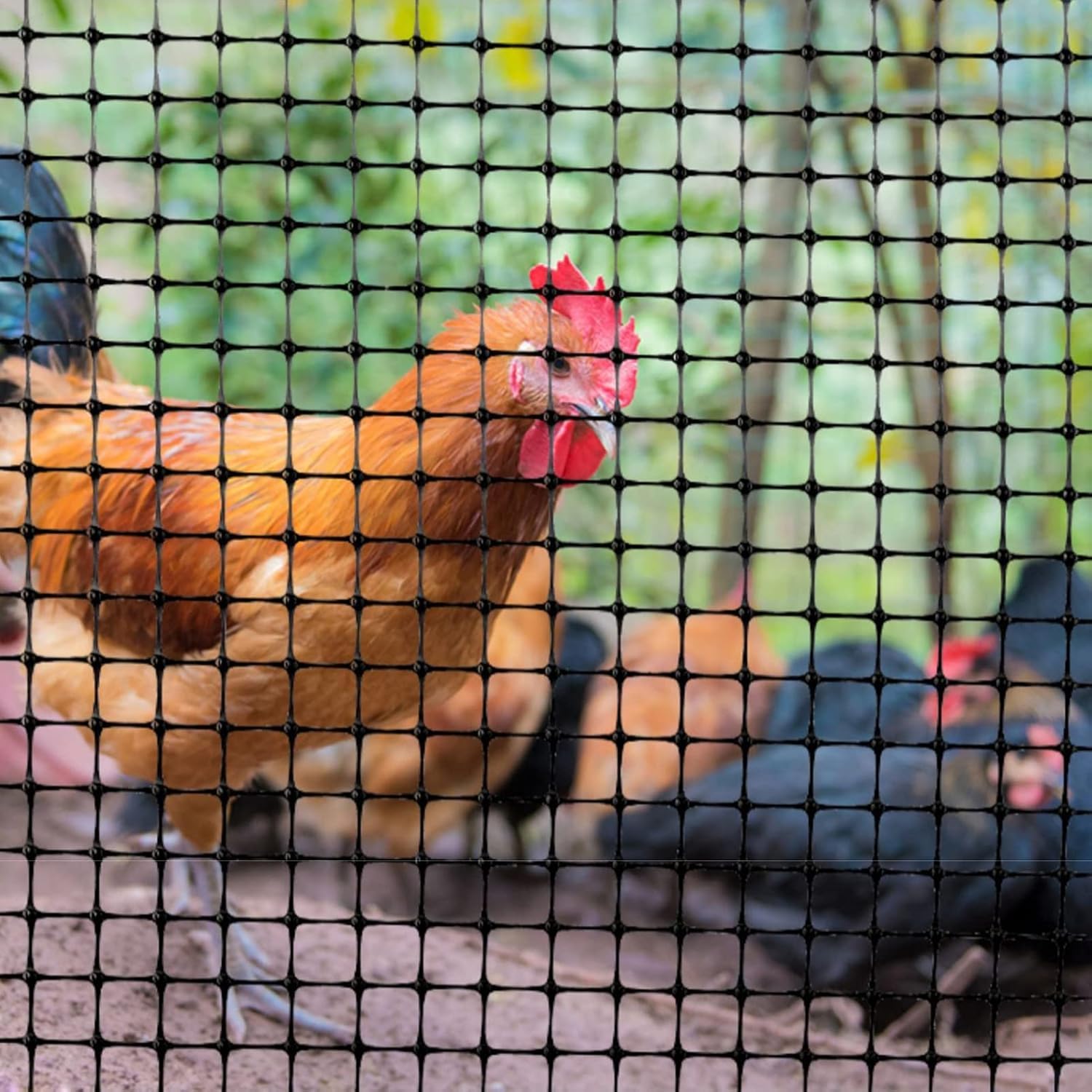 Filet de volaille contre intrus et clôture jardin plastique noire 50m