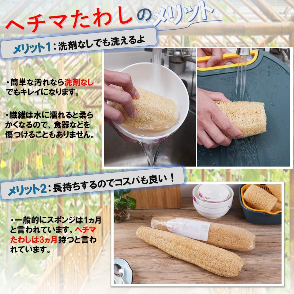 ヘチマたわし 美品大サイズお得用 販促用POP&シール付き ヘチマたわし 美品大サイズお得用 販促用POP&シール付き 71+