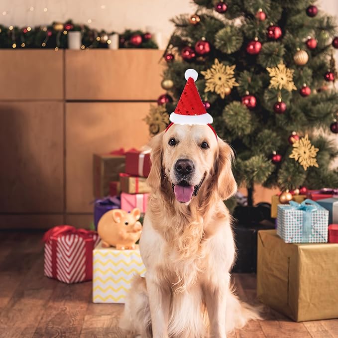 3 Piezas Diademas Navideñas para Perros con Sombrero de Santa, Reno y Muñeco de Nieve miniatura 3