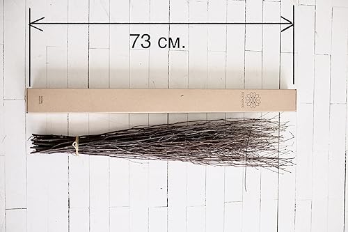 Miniatura 7 de ECOVENIK 25 piezas - Ramas - 28.7 in, ramitas de abedul natural, paquete de 20-25 tallos, largo para jarrones de suelo, (color marrón natural)