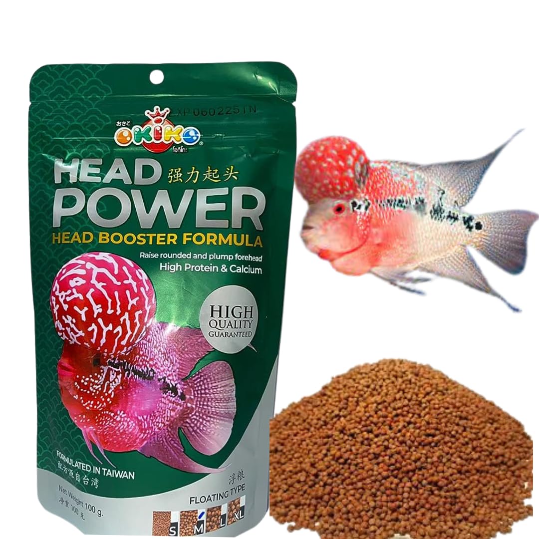 See full amazon price history chart for SANSEFERO Head Power Flowerhorn Fish Food with Head Booster Formula Fish Food | Specialized Nutrition for Enhanced Head Growth and Vibrant Colors in Your Aquarium Fish (100 Grams) SANSEFERO Head Power Flowerhorn Fish Food with Head Booster Formula Fish Food | Specialized Nutrition for Enhanced Head Growth and Vibrant Colors in Your Aquarium Fish (100 Grams) (B0CGVQ9981) Amazon Price History, Amazon Price Tracker