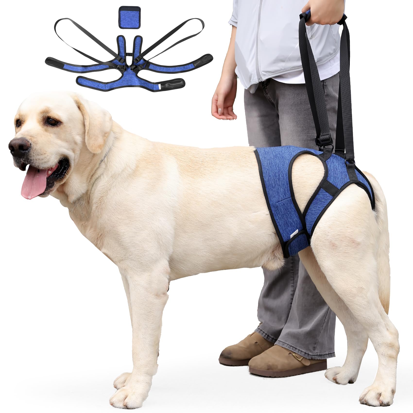 THKWOO Dog Lifting Harness for Back Legs Adjustable Dog Support Sling Anti-shedding Breathable Rear Leg Assist Harness for Elderly Dogs, Post-Operative Recovery, Arthritis/Disabled Pets (Blue XL)