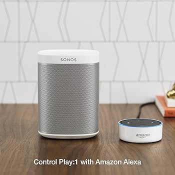 Amazon.com: Sonos Play: 1 (2013) - White : Electronics