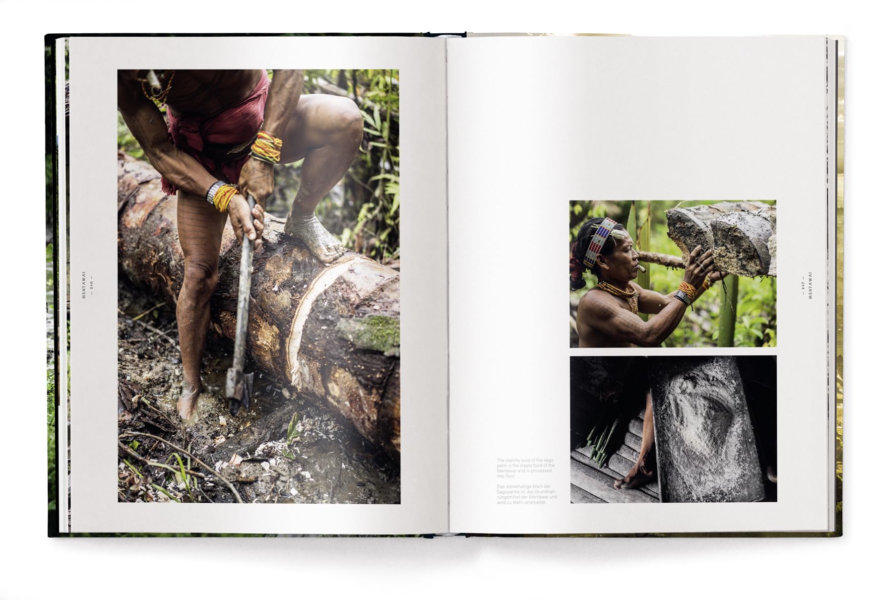 Tropics & Traditions: Tales of Indonesia