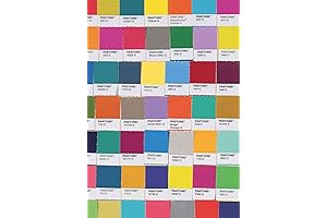Pantone Chips: The Perfectionist's Journal
