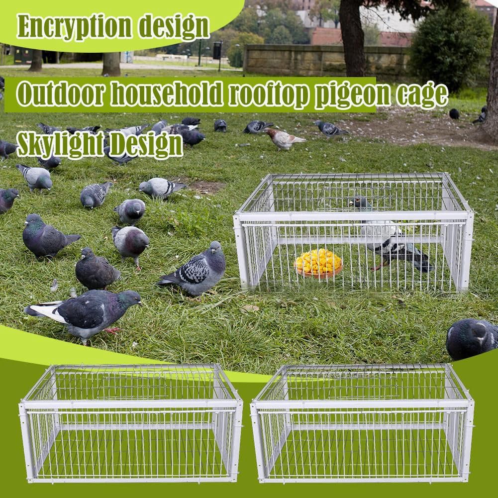 Cage à Oiseaux Portable, Petite, Épaisse et Cryptée, Piège Automatique pour la Collecte des Pigeons