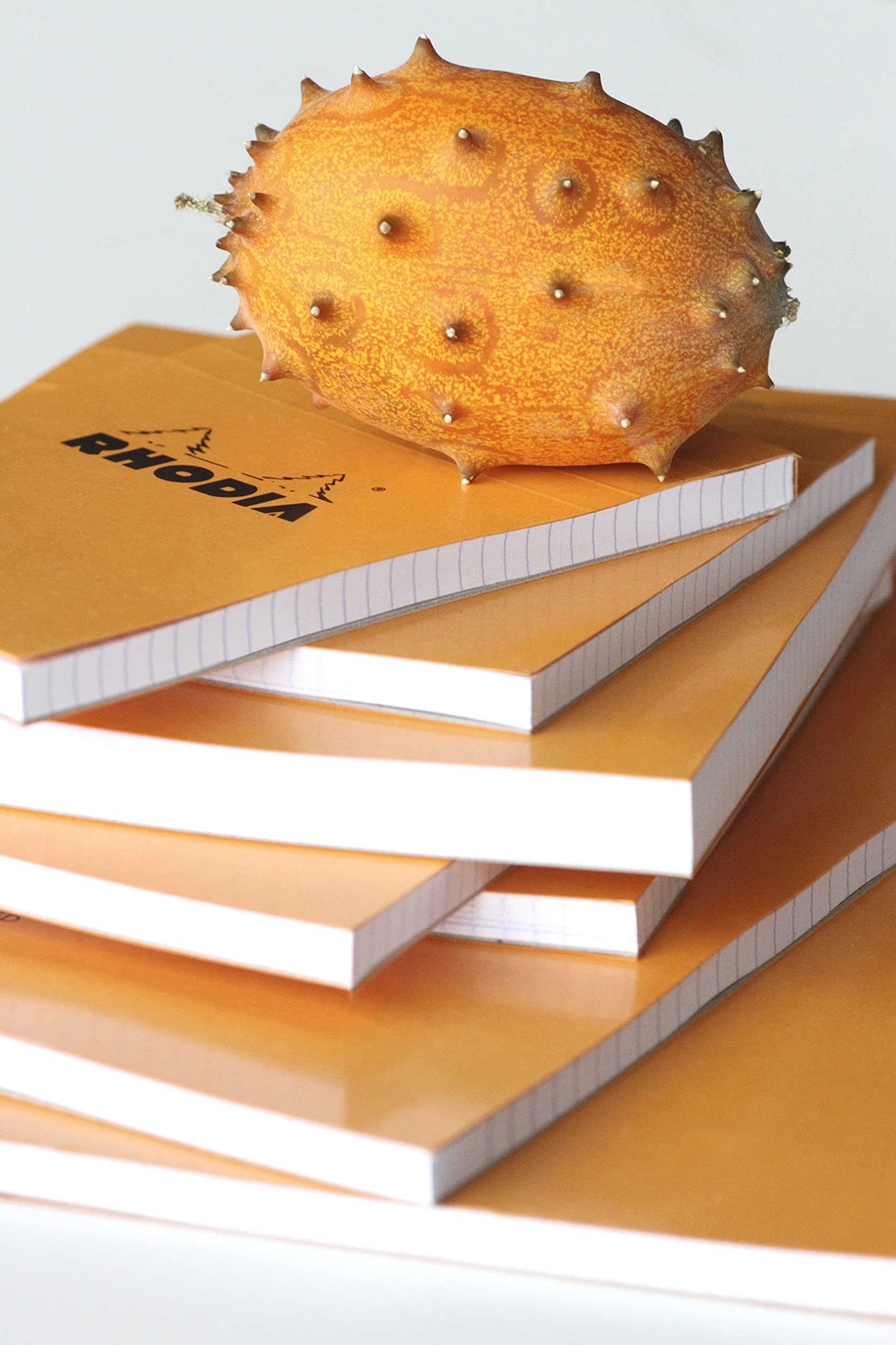 RHODIA 19000C - Bloc-Notes Agrafé N°19 Orange - A4+ - 80 Feuilles Détachables - Papier Clairefontaine Uni Blanc 80 g/m² - Couverture en Carte Enduite - Paquet de 5 blocs