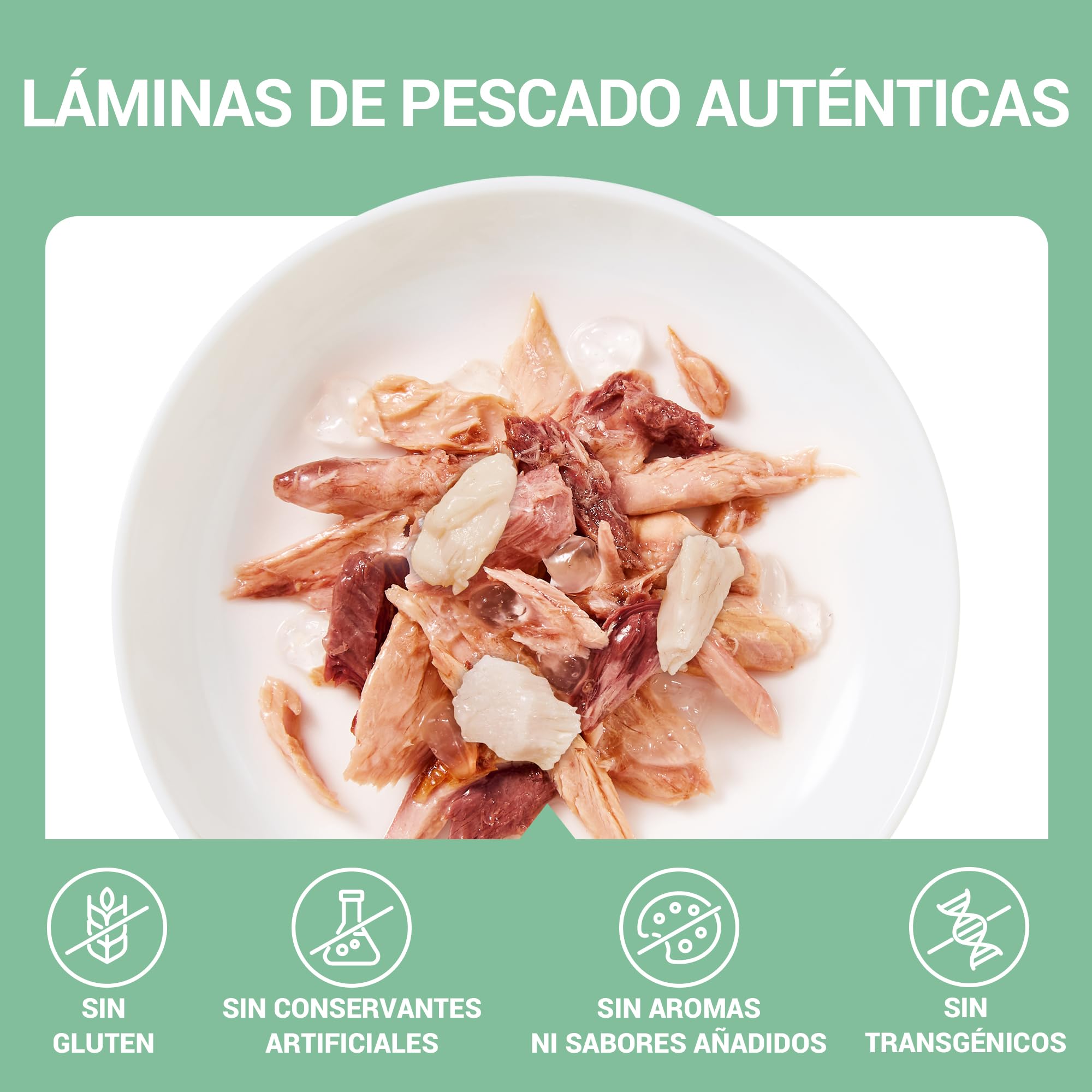 Schesir, Filetes de Atún con Merluza en Gelatina, Comida Húmeda Complementaria para Gatos, en Latas, Receta Original, 100% Natural, 12 x 70g