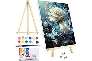 VIGEGU Beginners Paint by Numbers with Framed Canvas and Easel