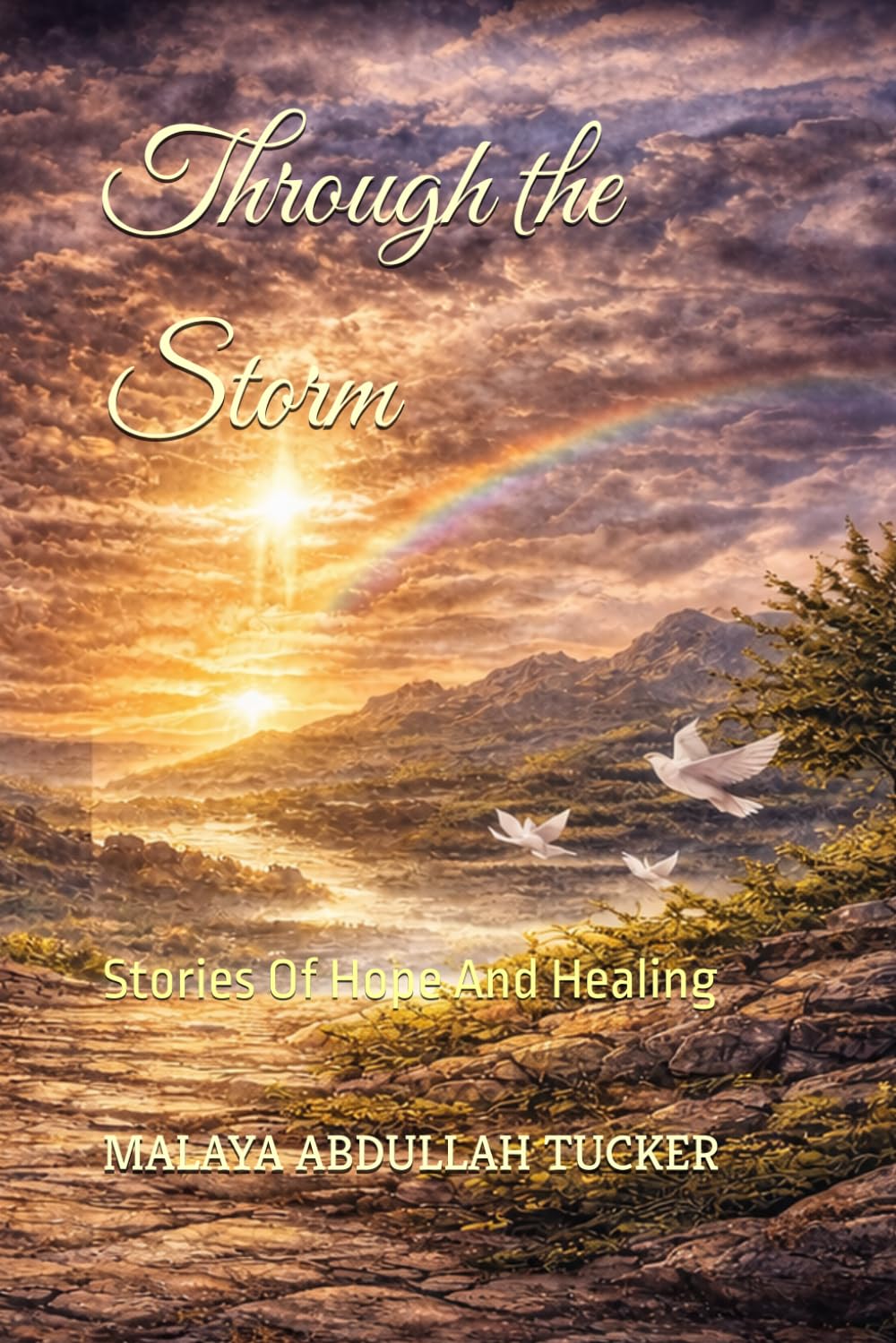 Through the Storm: Stories Of Hope And Healing