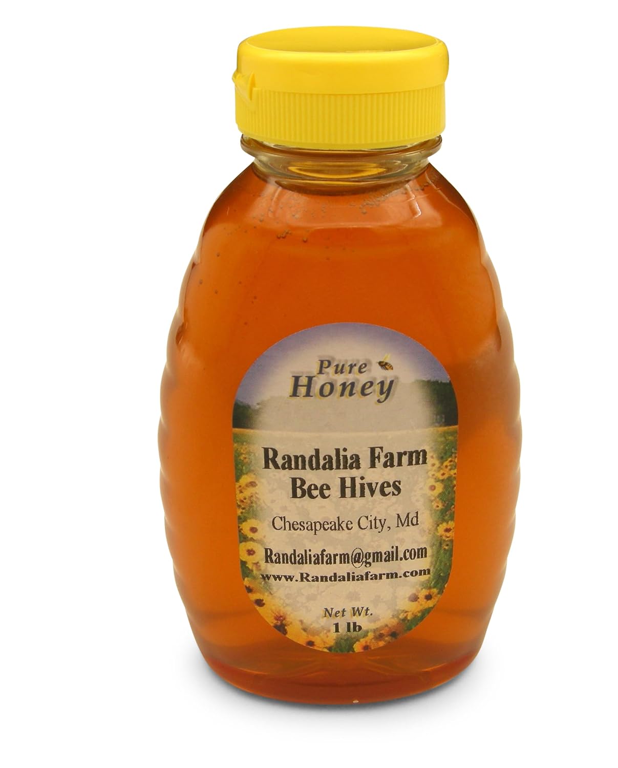 Randalia Bee Hives Raw Maryland Honey, 16oz