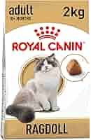  CANIN ラグドール 成猫用2kg×2 ロイヤルカナン ラグドール 成猫用 2kg（3182550825351）｜猫