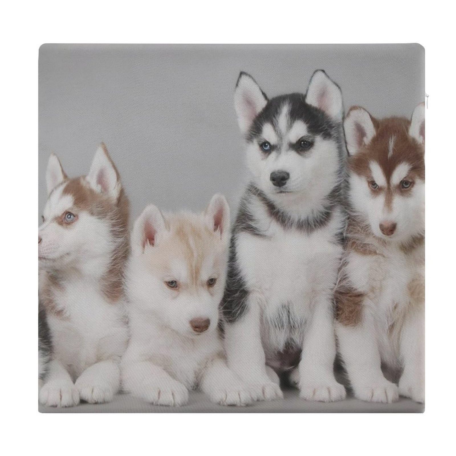 Cojín de asiento de espuma viscoelástica Lovely Husky con funda desenfundable
