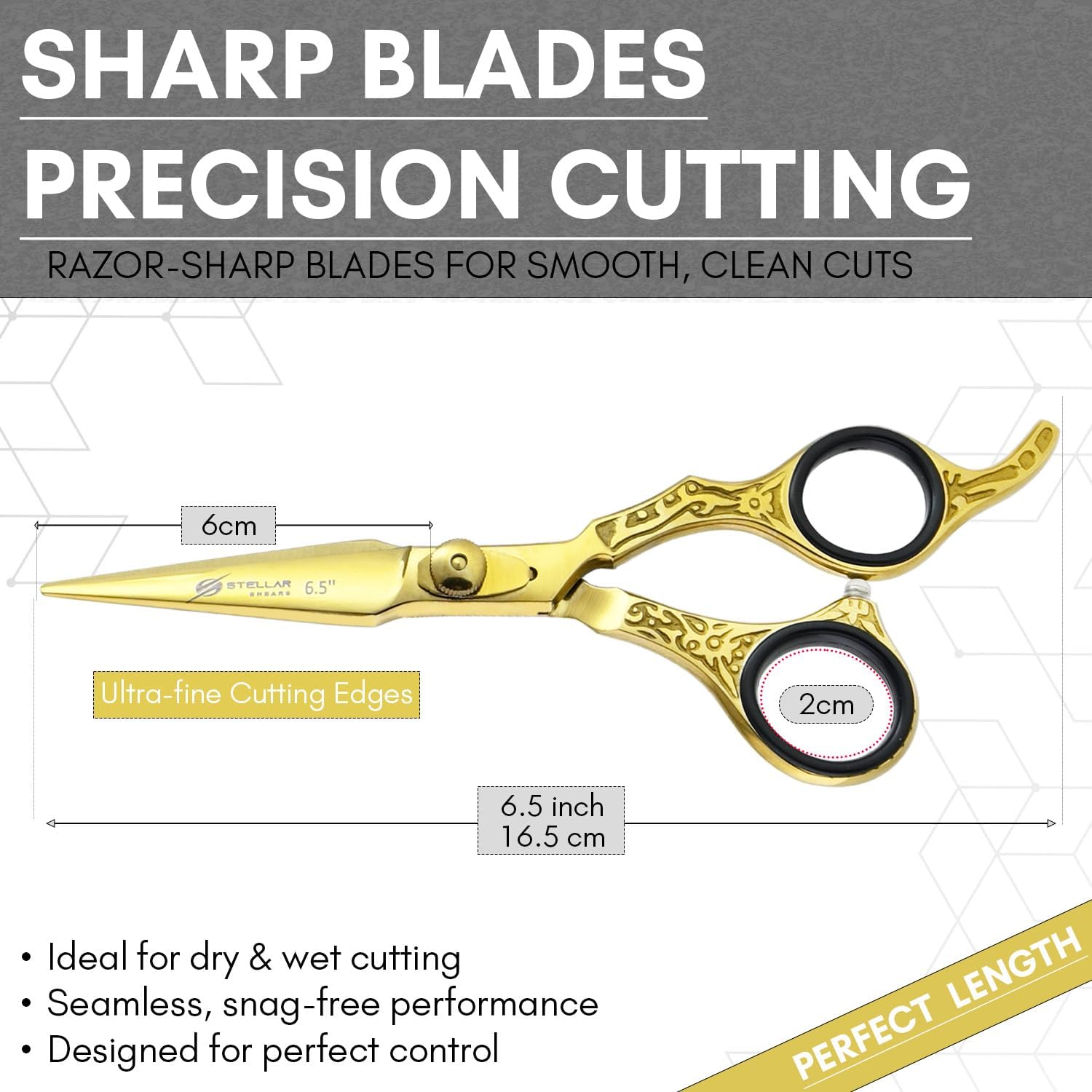 Hair Cutting Scissors Set 6.5 Inch – Gold Barber Shears & Thinning Scissors with Engraved Handles – Japanese Stainless Steel Hairdressing Kit with Case for Stylists & Barbers