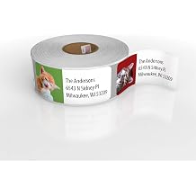 Customized Personalized Address Labels - Made in The USA by Kenco 250 Labels, Kittens